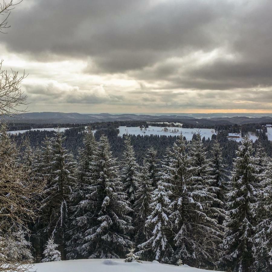 Apartamento Harznest Braunlage Exterior foto
