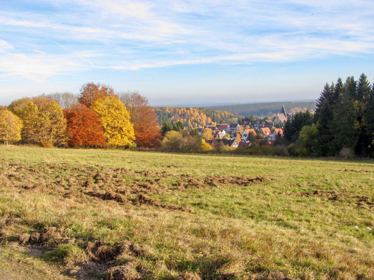 Apartamento Harznest Braunlage Exterior foto